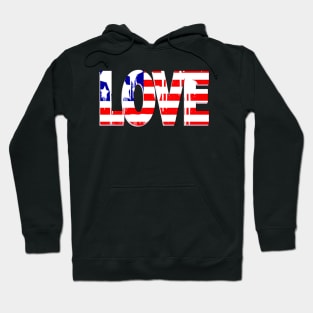 Flag usa Hoodie